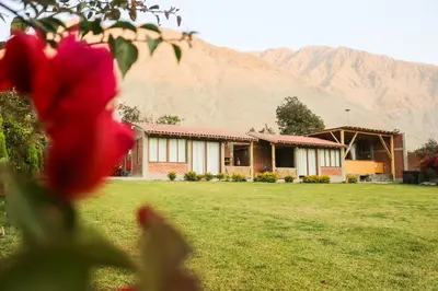 a house in a field with a mountain in the background at Taypu bungalow in Lunahuaná