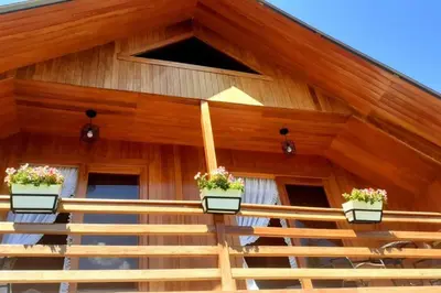 a wooden building with two potted plants on it at Posada de la Sirga Oxapampa De 8 a 10 personas in Oxapampa