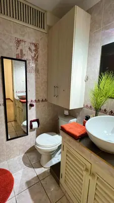 a bathroom with a toilet and a sink and a mirror at Loft Huacachina center ica in Ica
