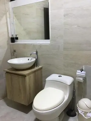a bathroom with a white toilet and a sink at Suite 201 in Lima