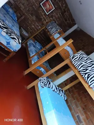 two bunk beds in a room with a zebra bed at Casita de camucha in Chincha Baja