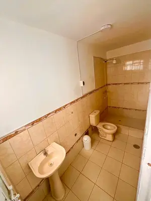 a bathroom with a sink and a toilet at Casa Límaco in Ayacucho