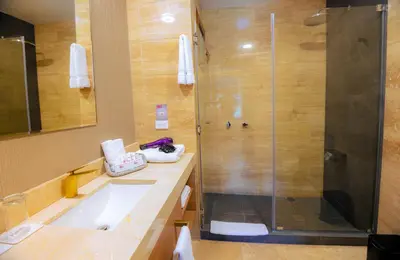 a bathroom with a bath tub and a shower at Hotel Andesmar Huancayo in Huancayo