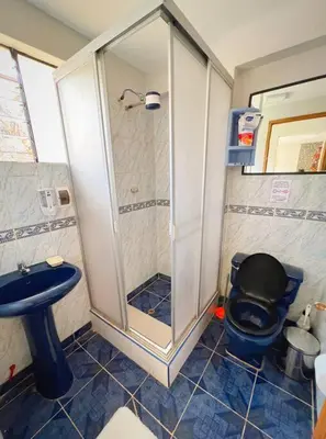 a bathroom with a shower and a toilet and a sink at boutique guest house art in the center of cusco in Cusco