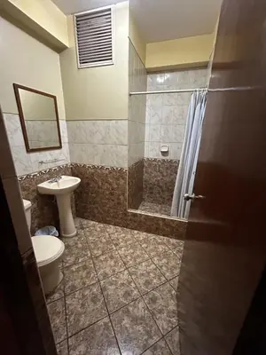 a bathroom with a shower and a toilet and a sink at Aquarium in Lima