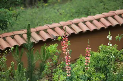 a roof of a house with flowers in a garden at SAMAY WASI Rest house in Ollantaytambo