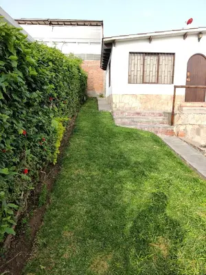 a garden with a hedge and a building with a door at bungalows in Santa Rosa