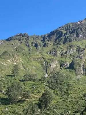 a mountain with trees and bushes on it at Casa de campo con impresionante vista a las montañas y cascada en Canta in Canta