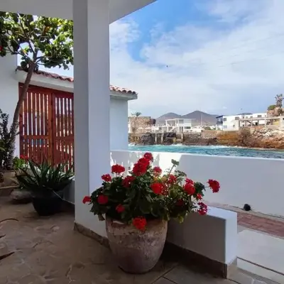 Ninfas 371