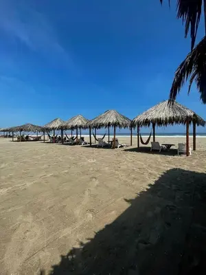 a row of straw umbrellas on a beach at Bungalows frente al mar en playa Wakama in San Vicente de Cañete