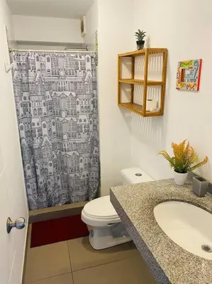 a bathroom with a toilet and a shower curtain at Alojamiento frente al mar en San Bartolo in San Bartolo