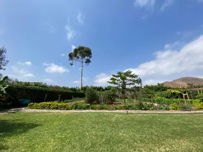 a garden with a palm tree in the background at Casa de campo en Hacienda San Andres in San Andrés