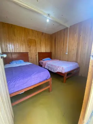 two beds in a room with wooden walls at Coco y Ainhoa Lodge in Paracas