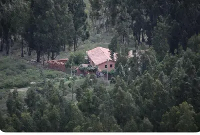 a house in the middle of a forest of trees at SAMAY WASI Rest house in Ollantaytambo