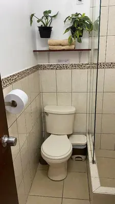 a bathroom with a toilet and plants on shelves at 102 habitacion con baño y cocina e ingreso independiente in Lima
