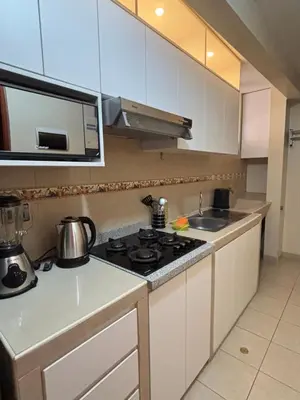 a small kitchen with a stove and a sink at Light department in Lima