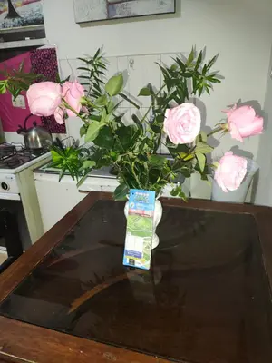 a vase filled with pink roses on a table at IG Art in Cusco