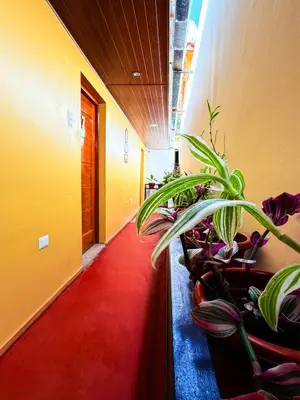 a hallway with potted plants and a red carpet at Andenes del Inca Hotel in Ollantaytambo