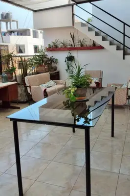 a glass table in a room with potted plants on it at Nice stay in Los Olivos in Lima