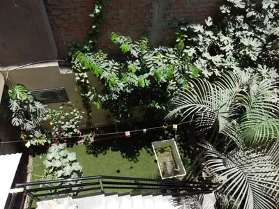 an overhead view of a garden with plants and flowers at Comfortable stay in Los Olivos in Lima