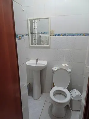 a small bathroom with a toilet and a sink at Family accommodation in Lima