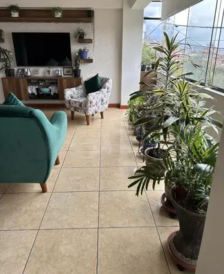 a living room with potted plants and a flat screen tv at Adela's Home in Cusco