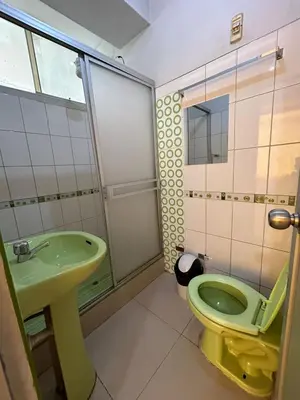 a bathroom with a green toilet and a sink at Hotel Paraiso L & M in Huánuco
