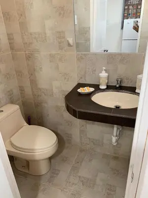 a bathroom with a toilet and a sink at Mini Dpto frente al mar playa Pta N in Punta Negra