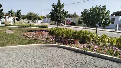a garden with flowers on the side of a road at Alojamiento Casa en Ica in Ica