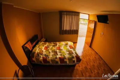a bedroom with a bed in the corner of a room at Hotel Los Pecanos in Ica
