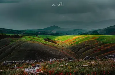 a painting of a field with flowers on a hill at Malka Casas - Hoteles in Marco