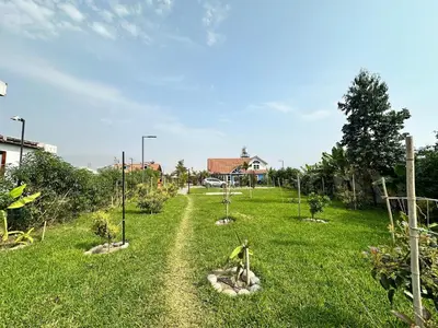 a garden with trees and plants in the grass at Villa Aurora in Aucallama
