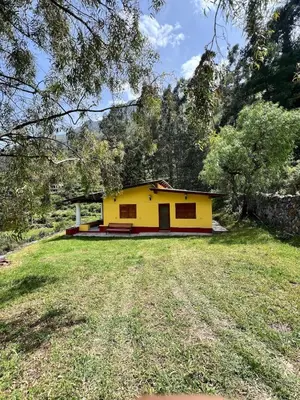 a yellow house in the middle of a yard at Swiss Chalet en Canta in San Miguel