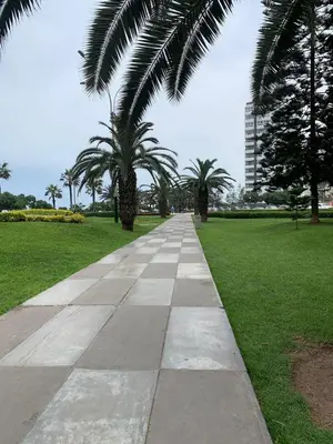 a sidewalk in a park with palm trees and a building at Full Depa en Miraflores in Lima