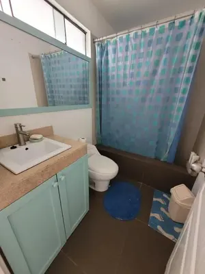 a bathroom with a toilet and a sink and a mirror at Departamento amplio en punta hermosa frente al mar in Punta Hermosa
