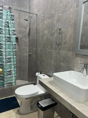 a bathroom with a toilet and a sink and a shower at Huacachina Lagoon House in Ica
