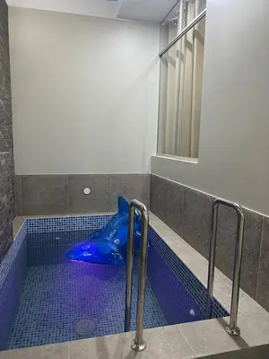 a blue plastic shark in a blue tub in a bathroom at Huacachina Lagoon House in Ica