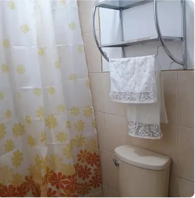 a bathroom with a toilet and a shower curtain at Departamento Acogedor en Surco in Lima