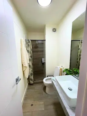 a bathroom with a toilet and a sink at Chelovirock- Luxury Penthouse Great Location in Lima