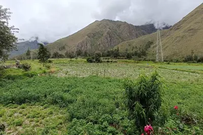 a green field with mountains in the background at RiKCHARiY in Primavera