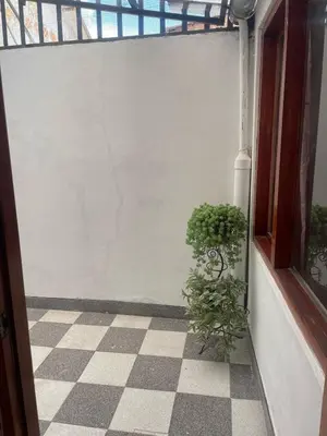 a plant sitting on a floor next to a window at Quechuas in Cusco