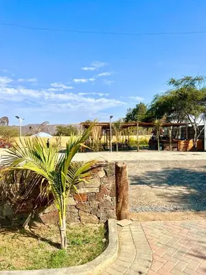 a palm tree sitting next to a stone wall at Hotel Sol de Ocucaje #4 in Ica