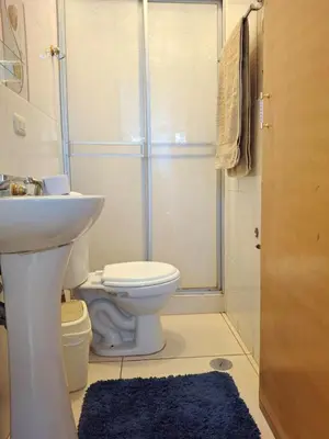 a bathroom with a toilet and a sink and a shower at cusco céntrico in Cusco