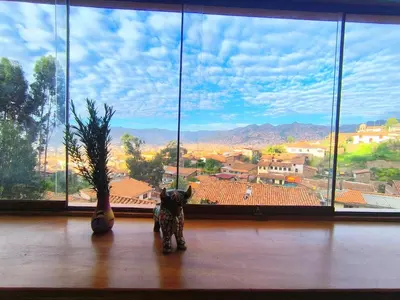 a cat standing in front of a large window at Patrick's Day Home Cusco in Cusco