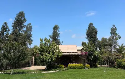 a house in a yard with trees at Bungalow 23 in El Carmen