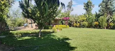 a yard with a hose in the grass at Bungalow 23 in El Carmen