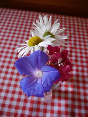 a vase filled with flowers on a red and white table at Yoly cabaña in Oxapampa