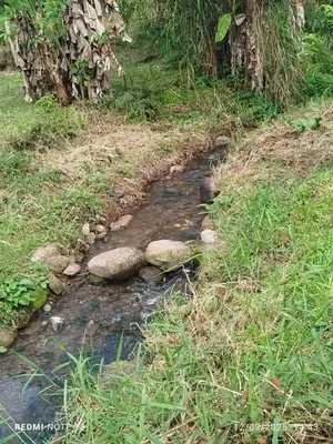 a stream of water with rocks in the grass at Yoly cabaña in San Francisco