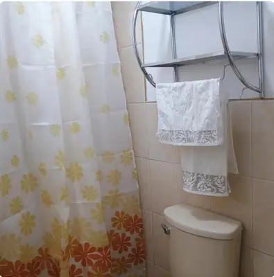 a bathroom with a toilet and a shower curtain at Departamento Acogedor en Surco in Lima