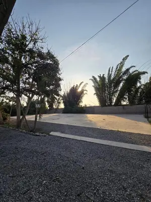 an empty street with trees on the side of a road at Los Angeles Hotel in Huaral
